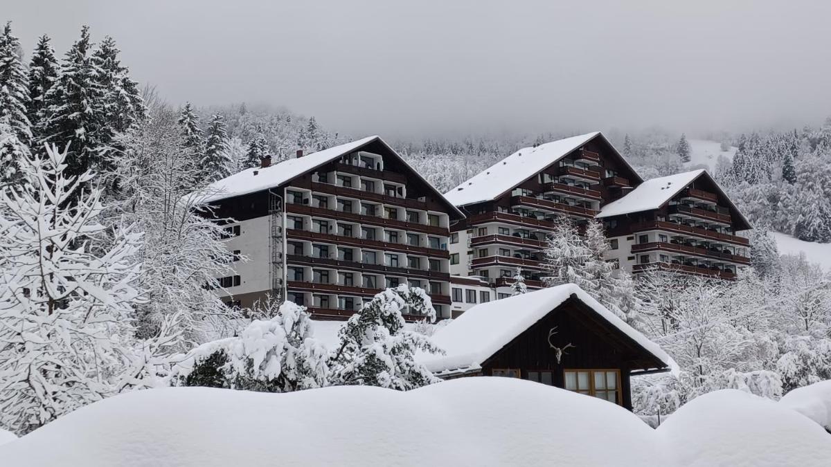 dachstein view - Housity