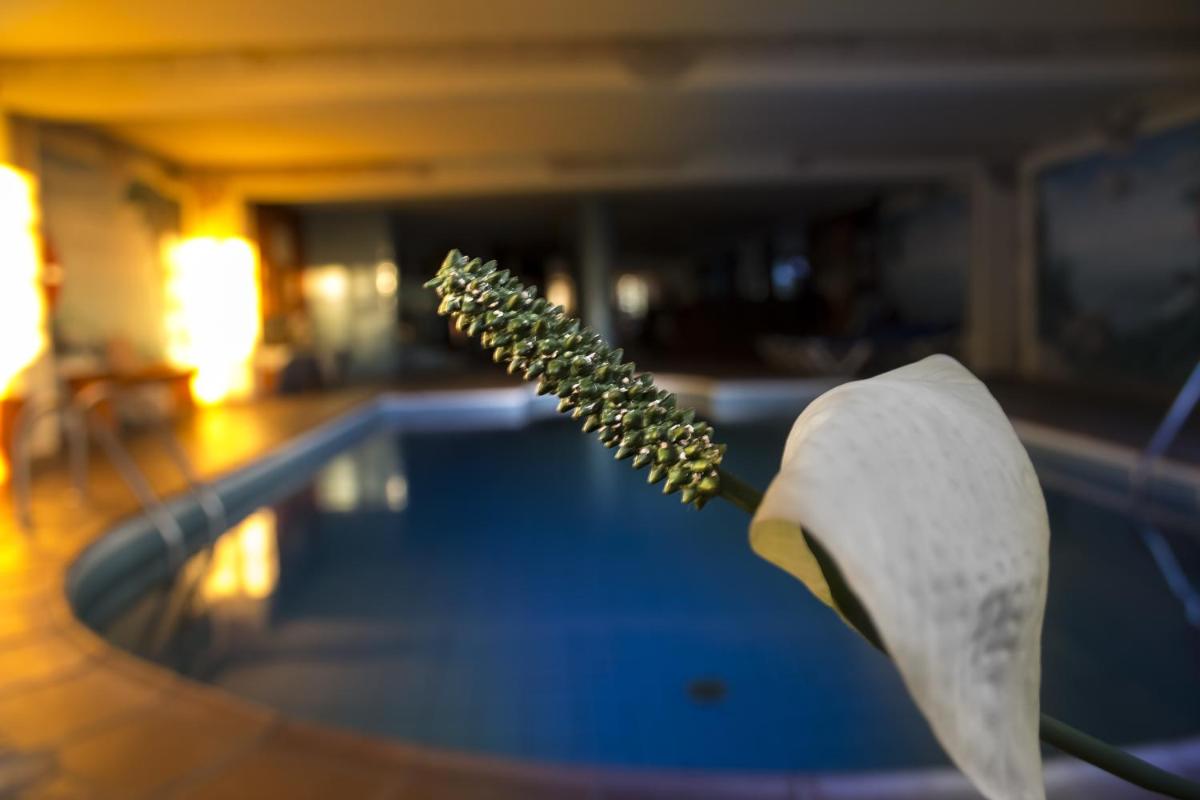 Piscina en o cerca de Hotel La Palma Romántica