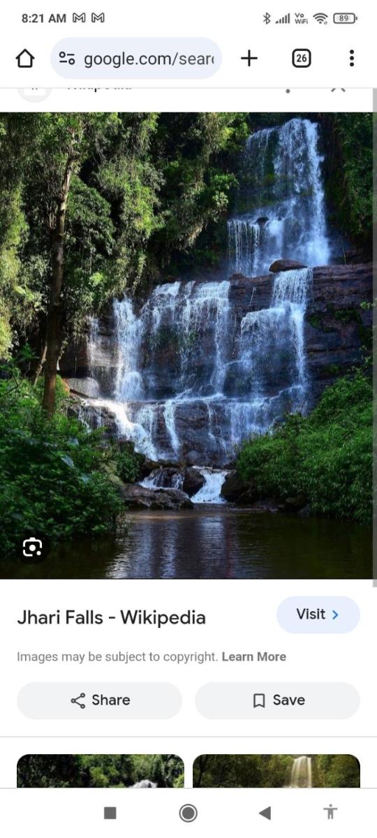 Jhari Mountain View (Tree house) Homestay - Housity