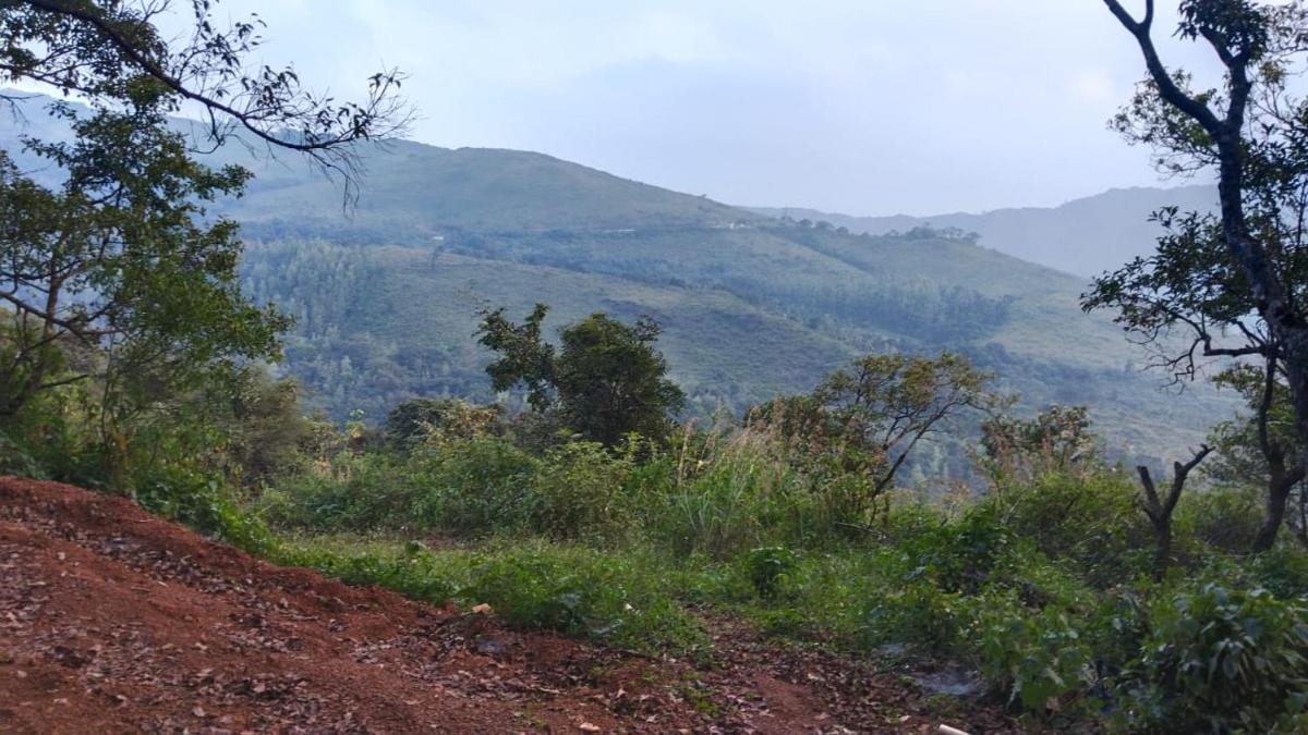 Jhari Mountain View (Tree house) Homestay - Housity