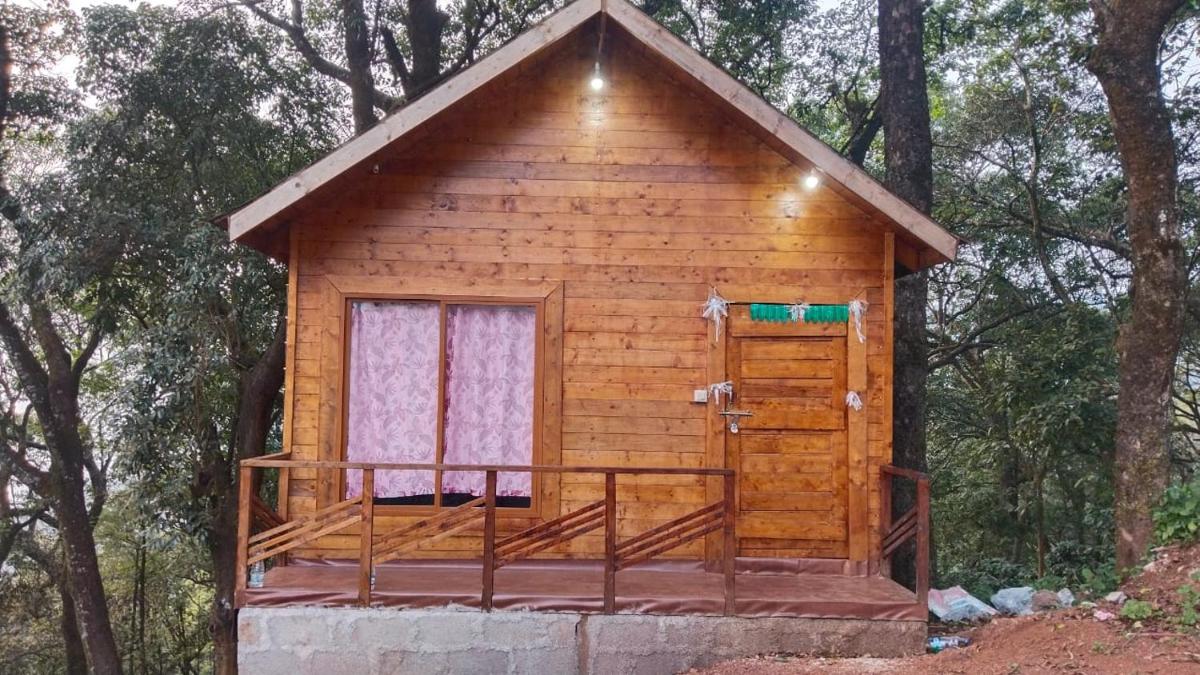 Jhari Mountain View (Tree house) Homestay - Housity