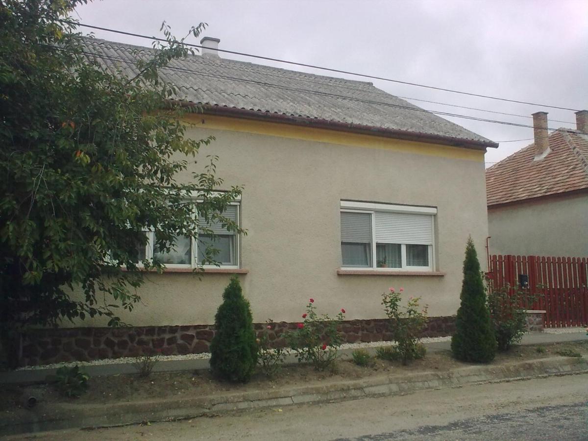 Bodzavirág Vendégház - Housity