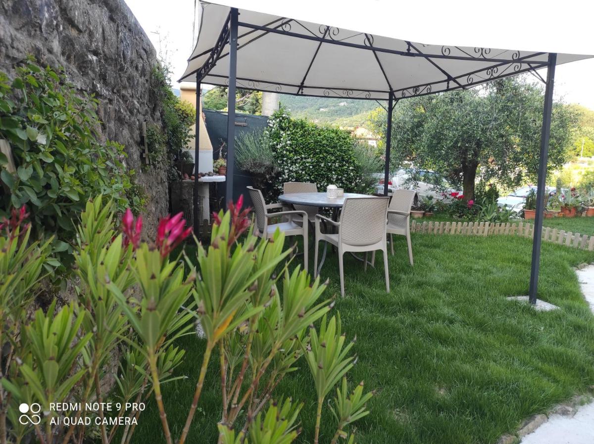RoHouse -Experience- - Housity