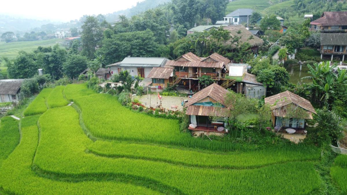 May Homestay Sapa - Housity