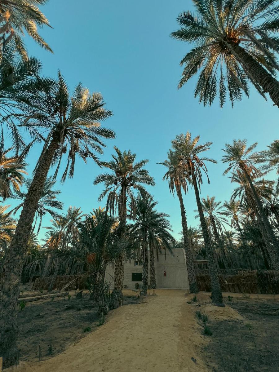 Villa Taouzert - Housity