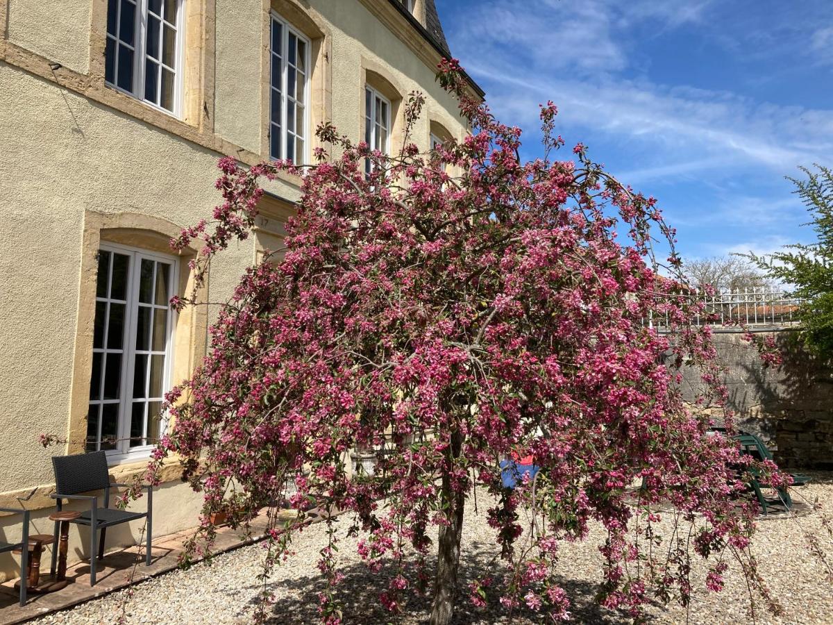 Suitetrails - Maison Les Beaux Arts