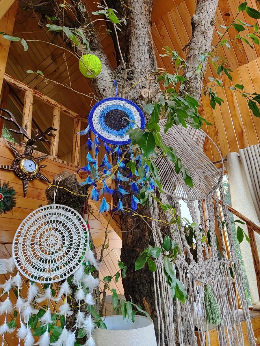 Tree House Jibhi The Hidden Cottage - Housity