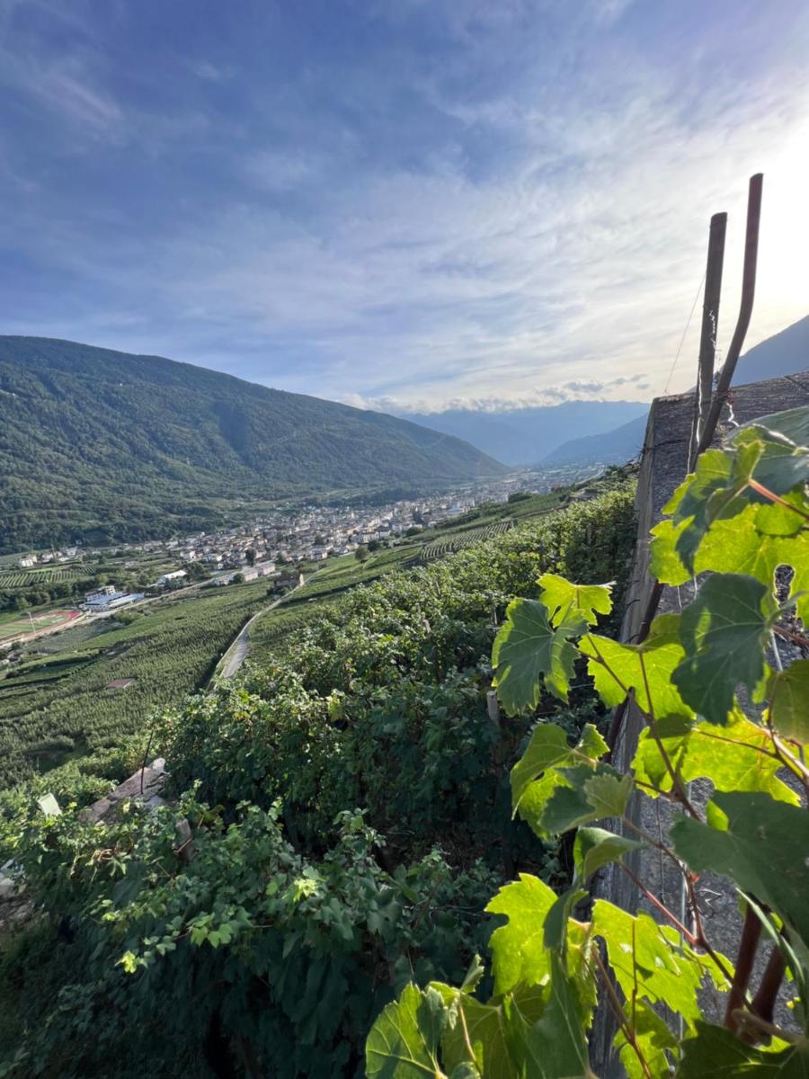 SANMARTINO SUITE - Housity