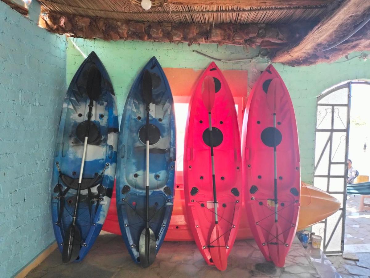Go Inn Backpackers - Housity
