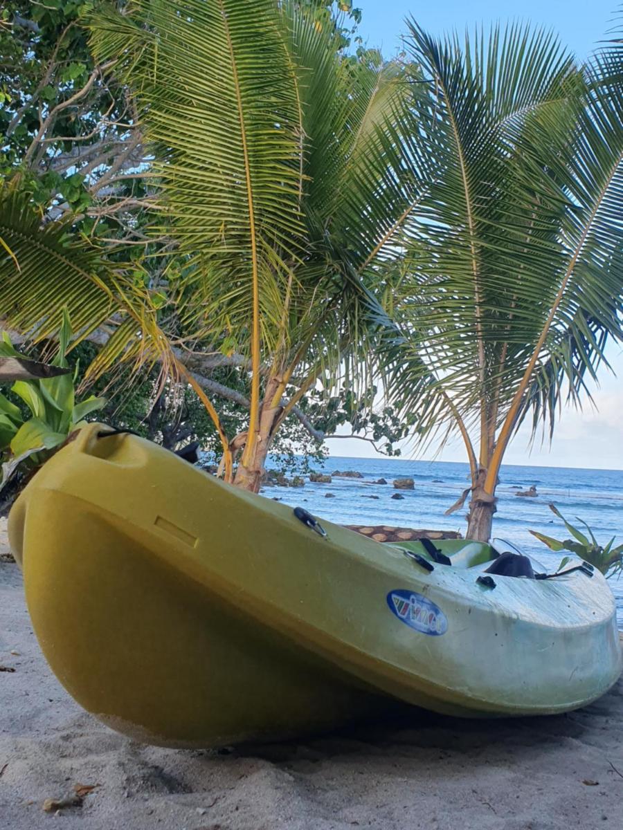 Eco Dive Vanuatu Bungalows & Backpackers - Housity