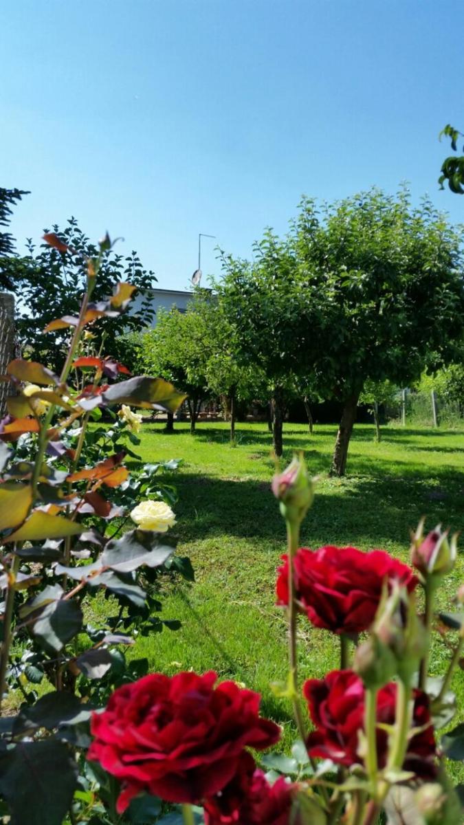 Apartment Cecilia Koprivnica - Housity