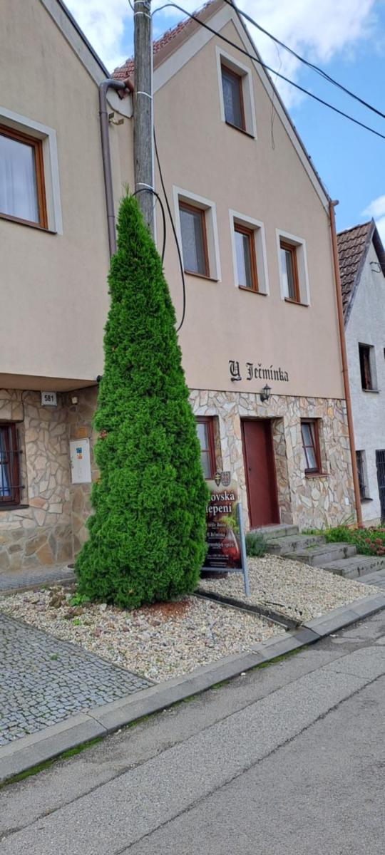 U Ječmínka - Housity