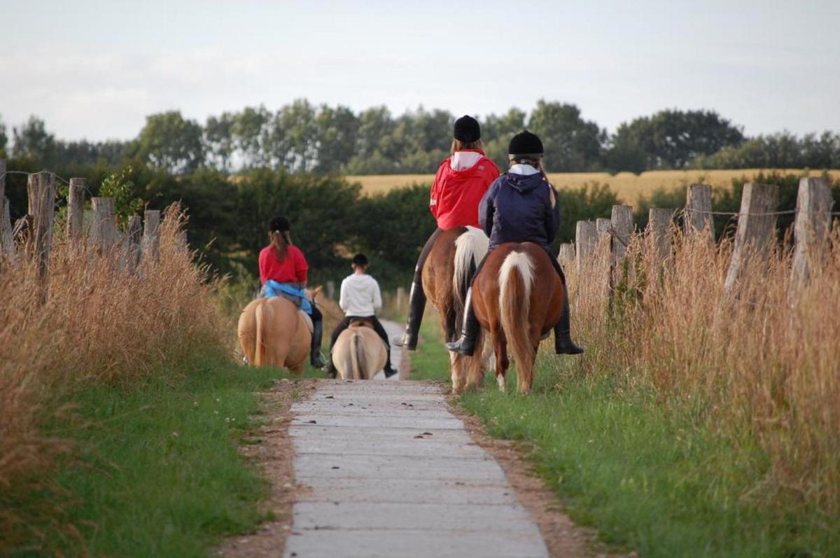 Ferienwohnungen auf dem Ferienhof Sell - Housity