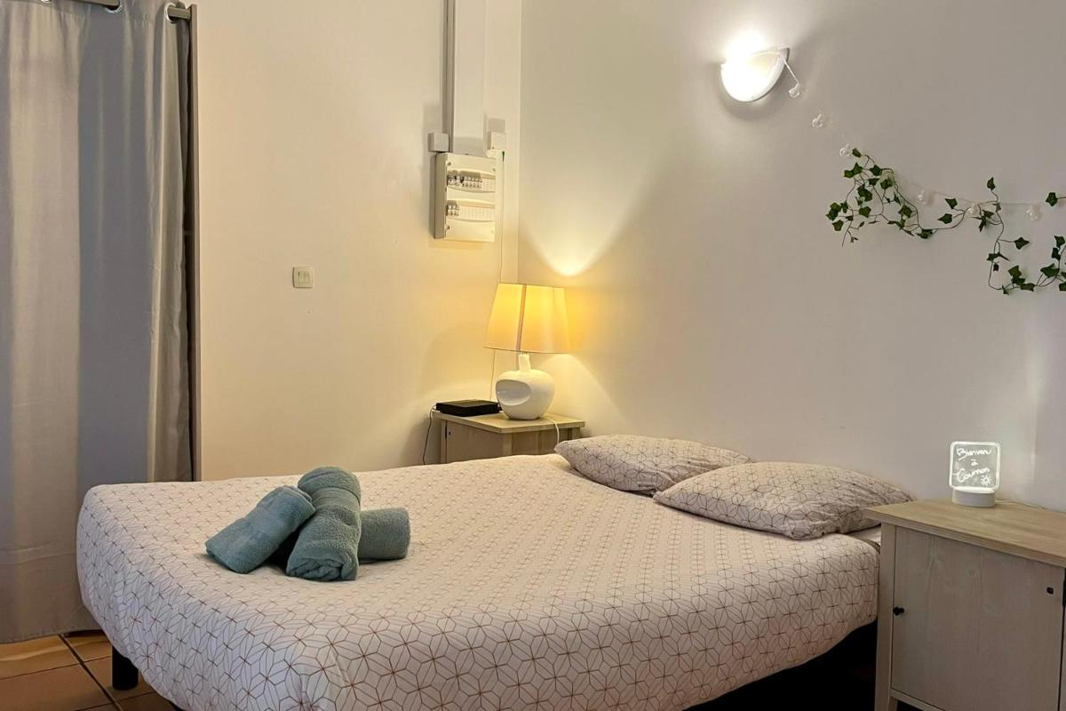 Le studio Théolier DOWNTOWN - close to pedestrian street - Housity