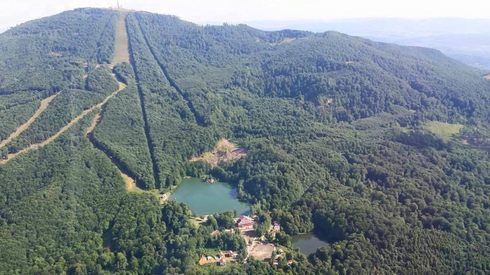 Pintea Chalet - Housity