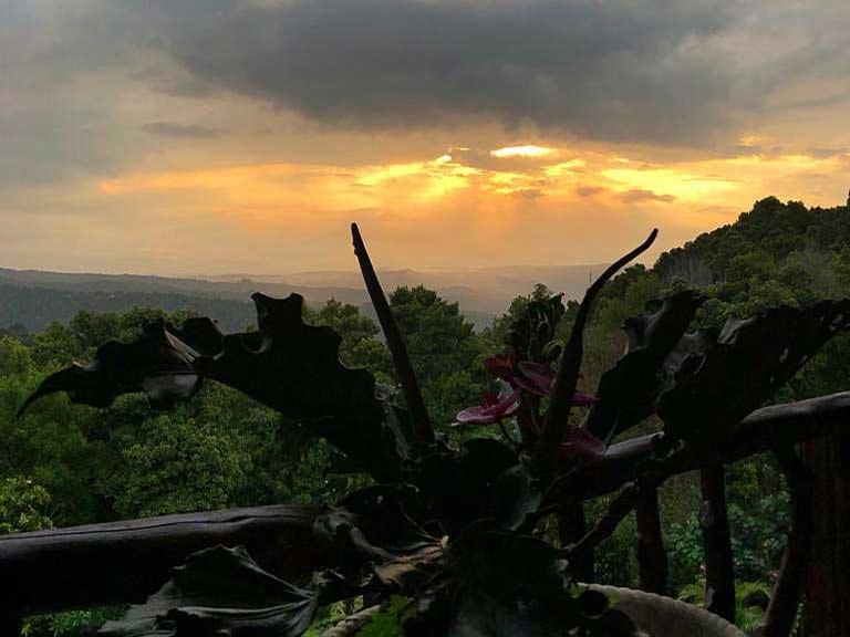 Suitetrails - Munduk Sena