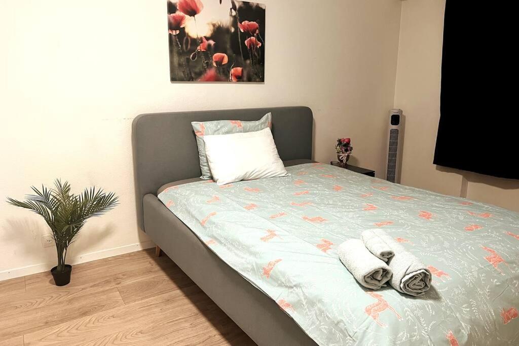 2.5 Rooms Furnished Apartment in Luzern Nr 12 - Housity