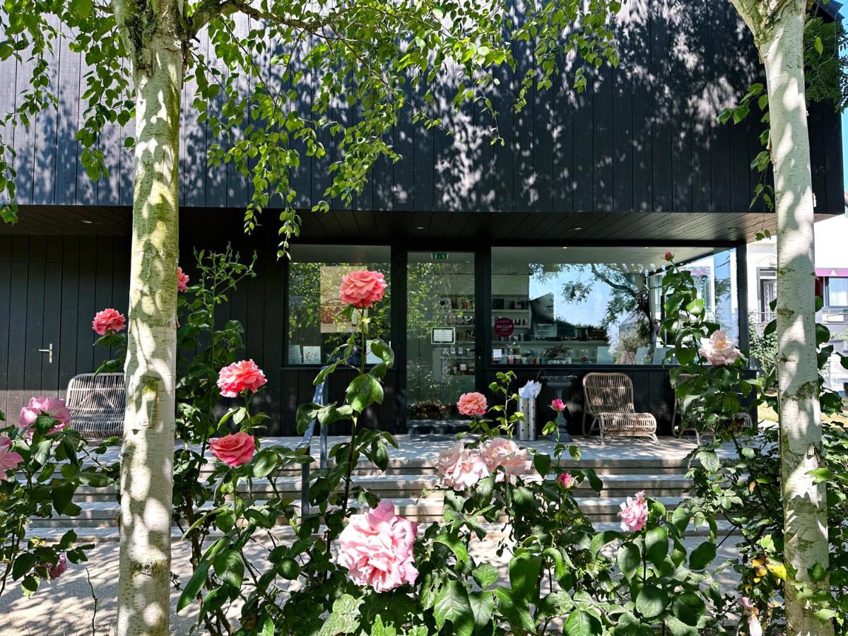 Jardin de l'établissement Domaine De La Corniche