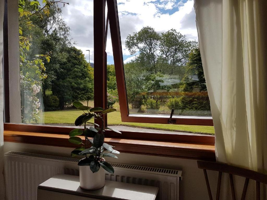 LILYOAK B&amp;B &amp; Self Catering Apartment - Housity