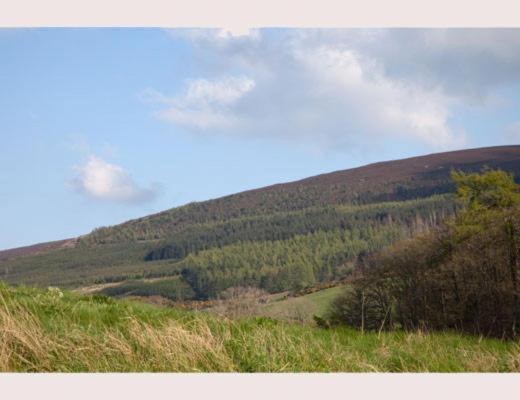LILYOAK B&B & Self Catering Apartment - Housity