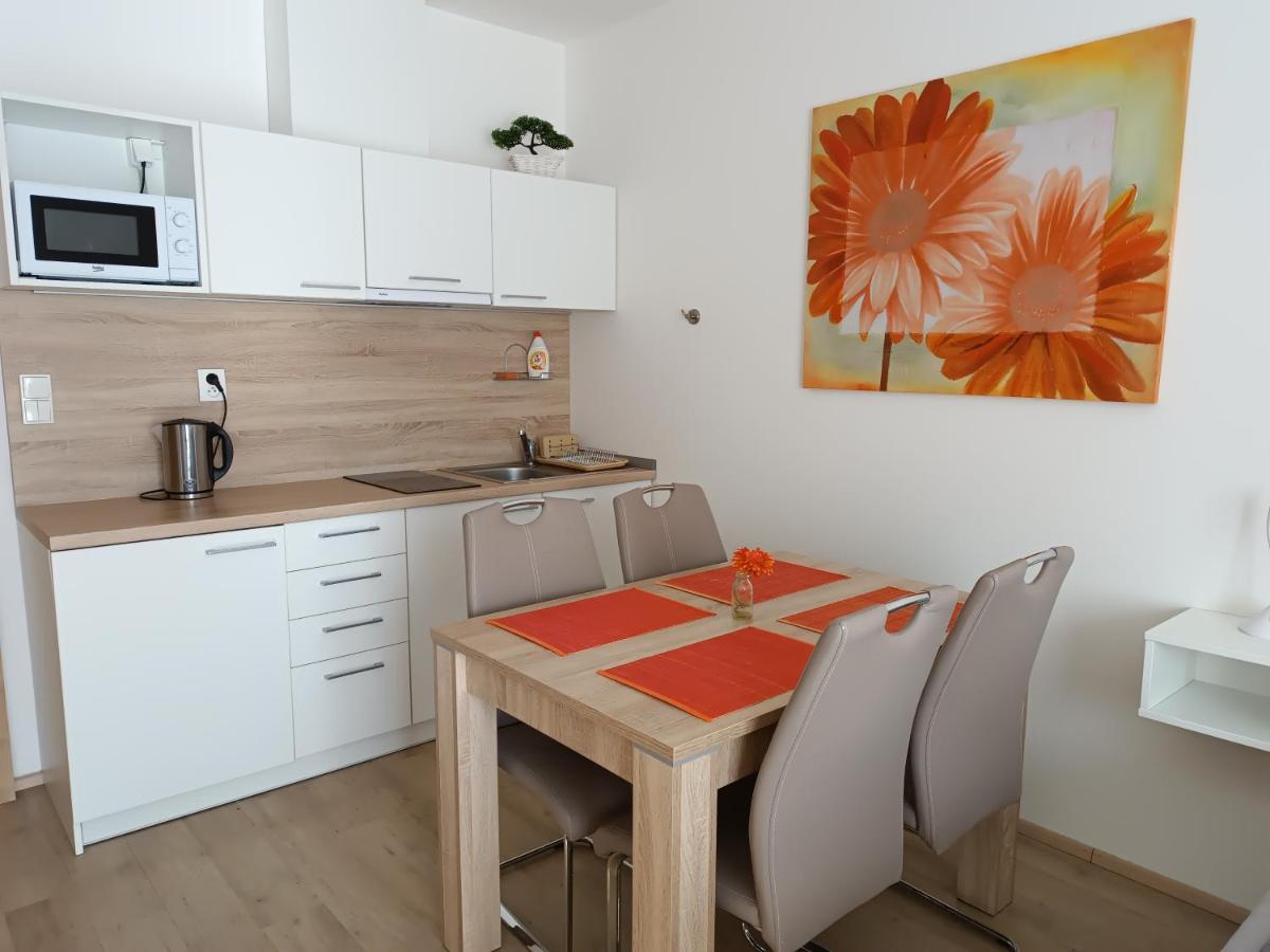 Apartmán U Sjezdovky - Housity