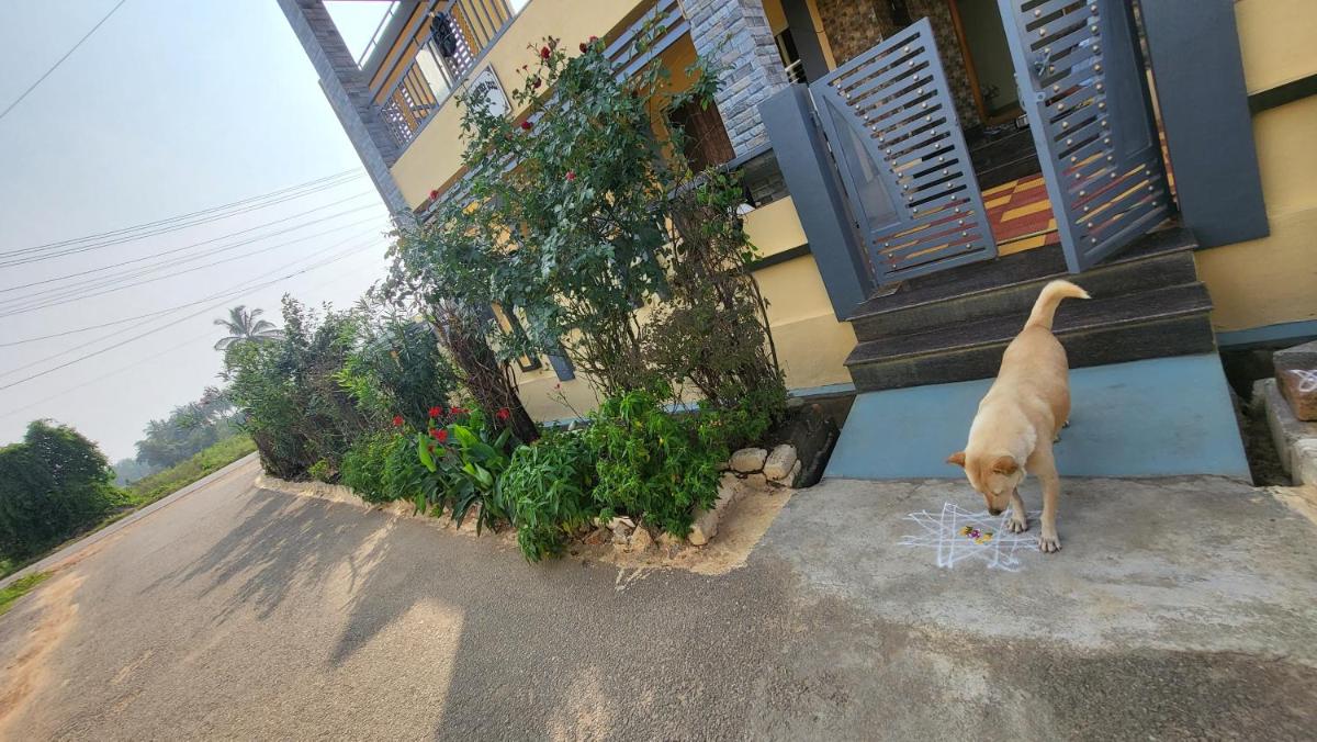 Pradeep Kumar House - Housity