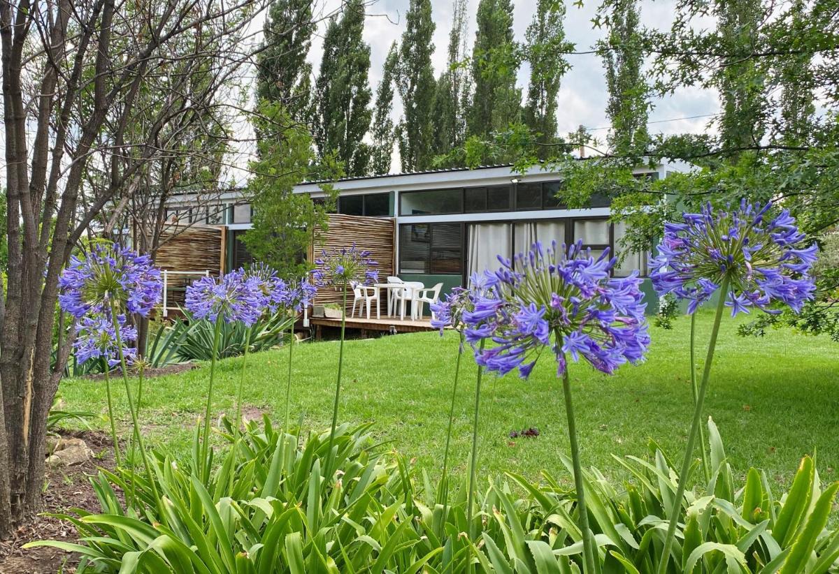 Collett House and Lavender Cottage - Housity