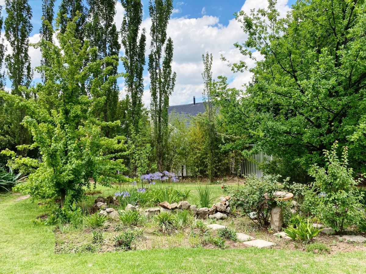 Collett House and Lavender Cottage - Housity