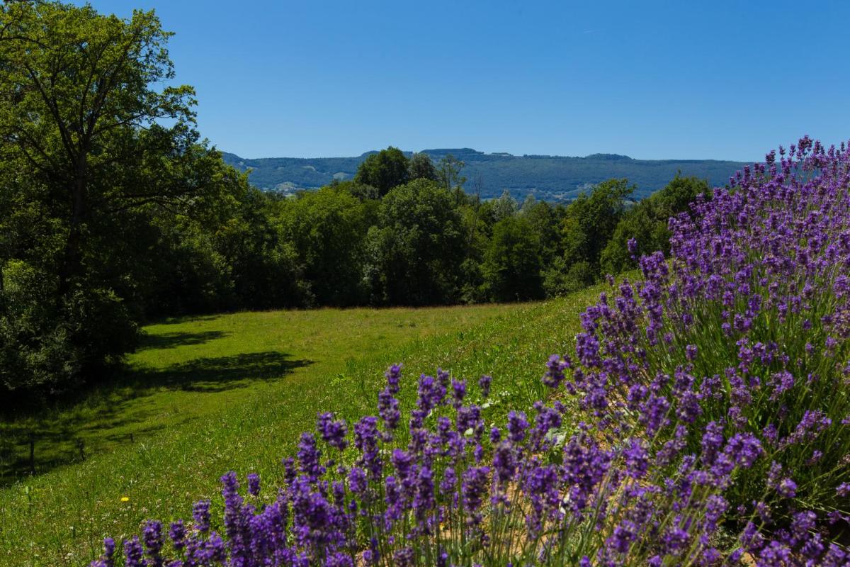 Paysage naturel près de l'hôtel