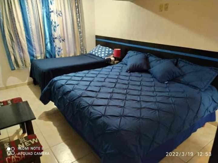 Hotel Vithez - Housity