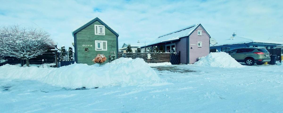 Tiny House Lavender - Housity