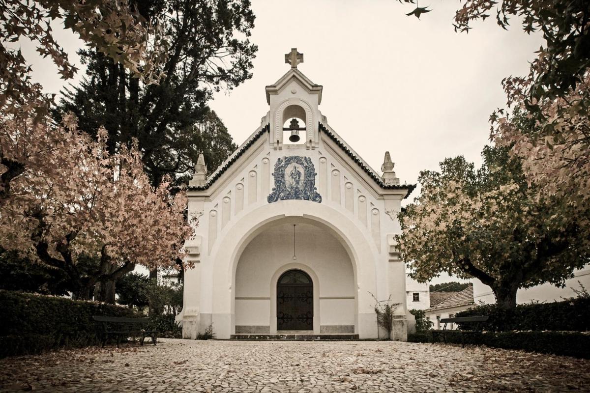 Imagem da galeria de Curia Palace Hotel & Spa em Curia