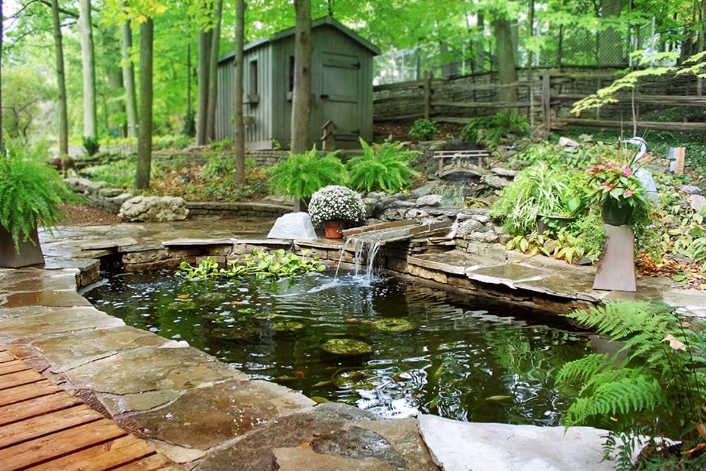 Forest Hill Bed and Breakfast - Housity