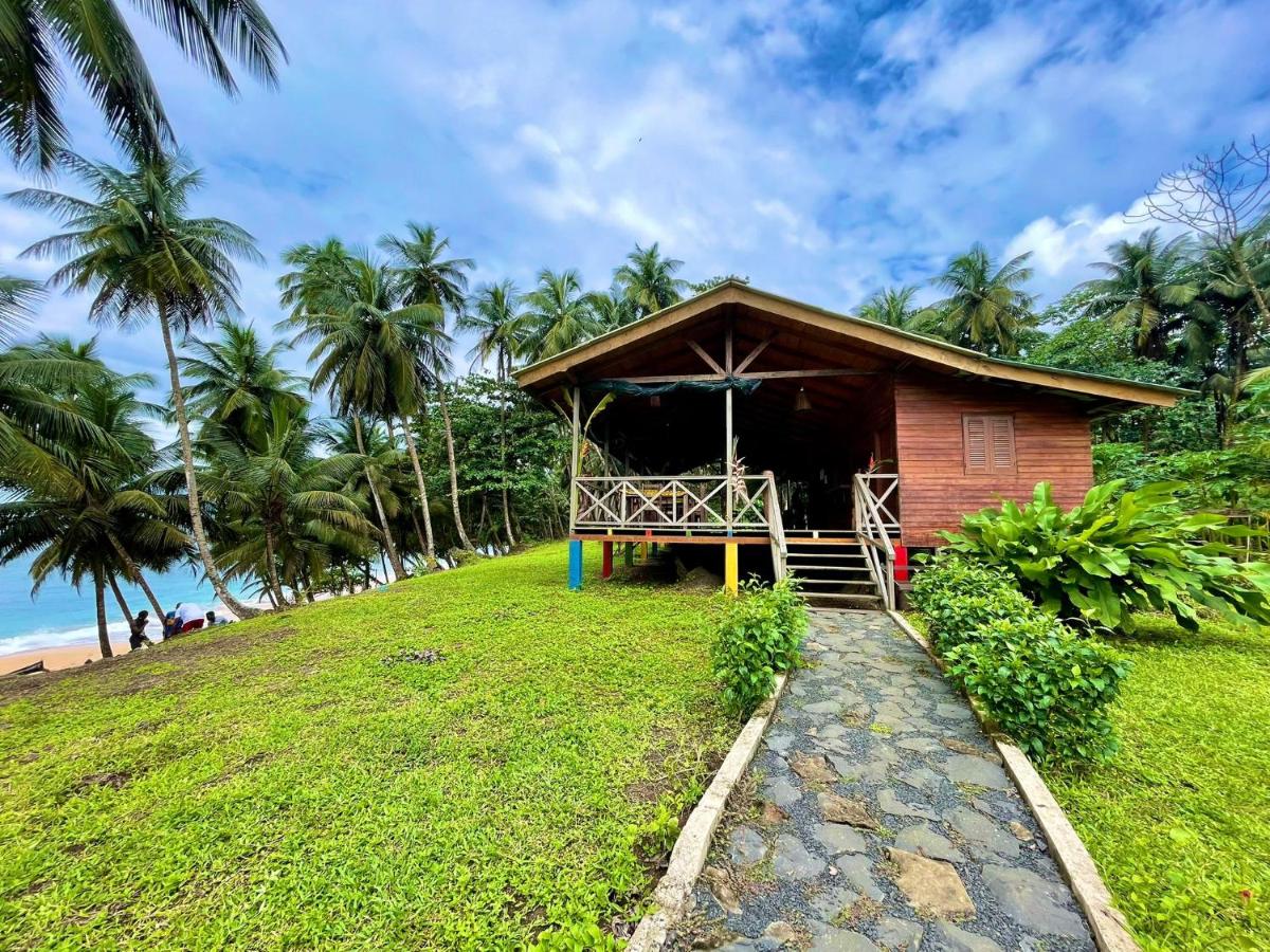 Domus Praia Jalé - Housity