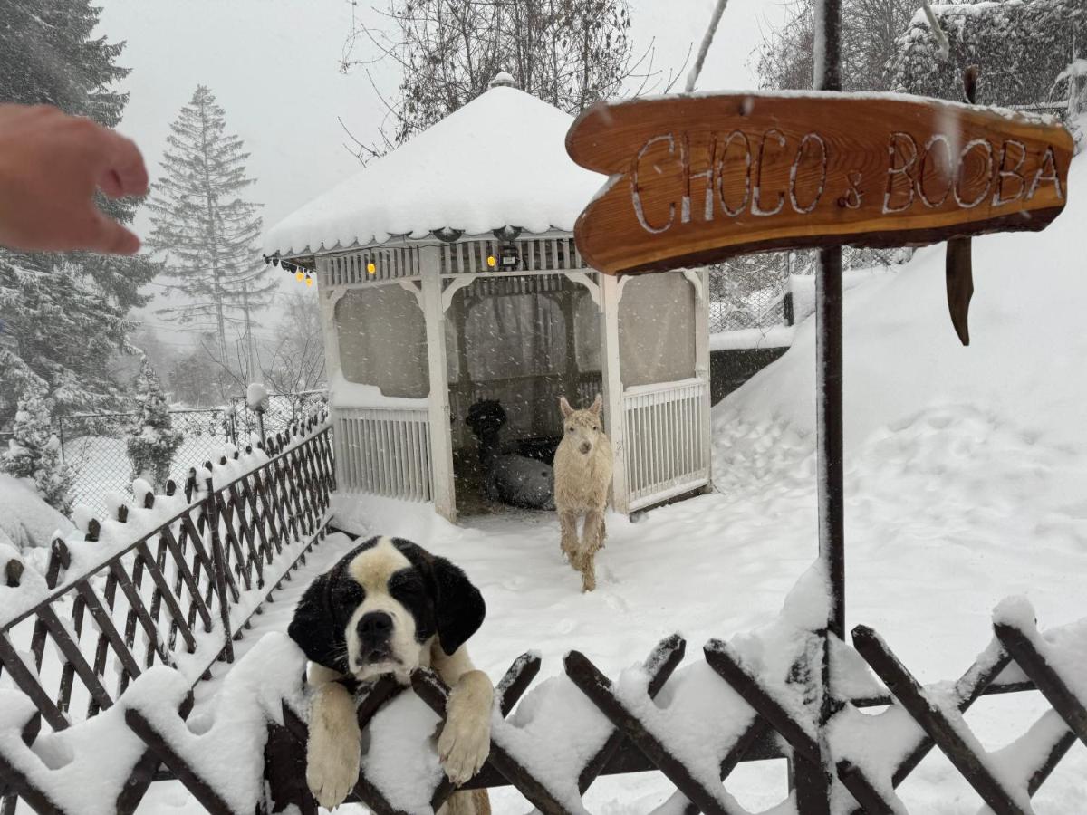 Chalet jolie Luxury Vila Sinaia - Housity