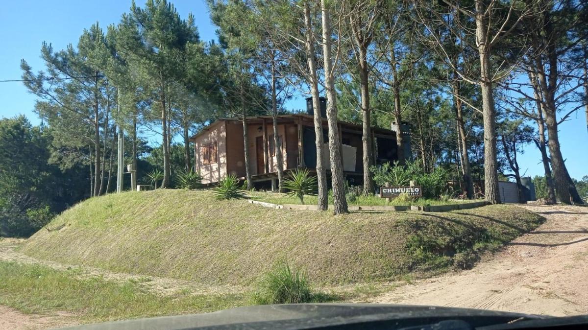 Chimuelo, es necesario hacer sena para reservar - Housity