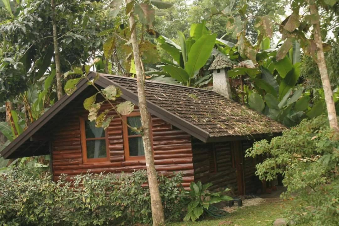 Yang Tone Farm Stay - Housity