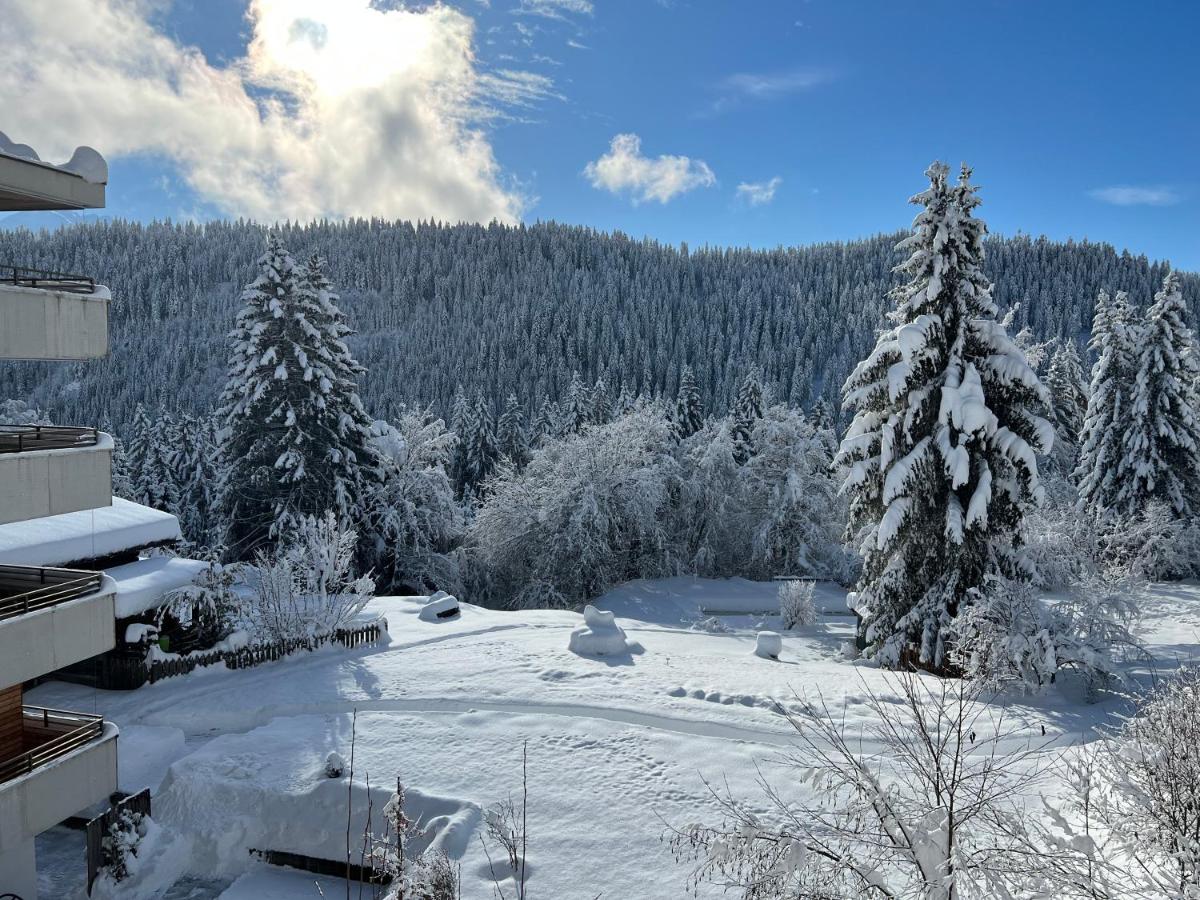 Hotel Haus am Waldrand - Housity