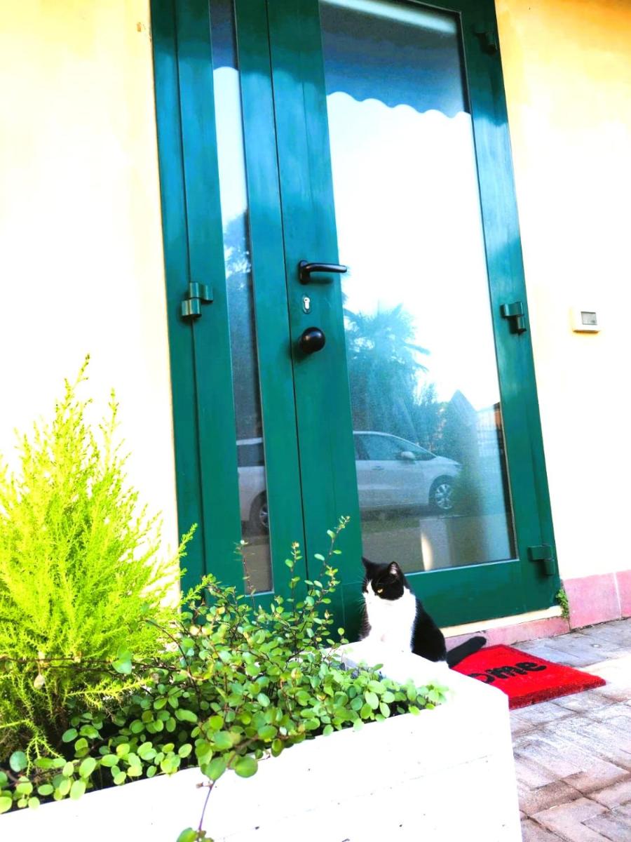 Confortevole Appartamento Il Sorriso piano terra ingresso e parcheggio indipendente per una tranquilla privacy - Housity