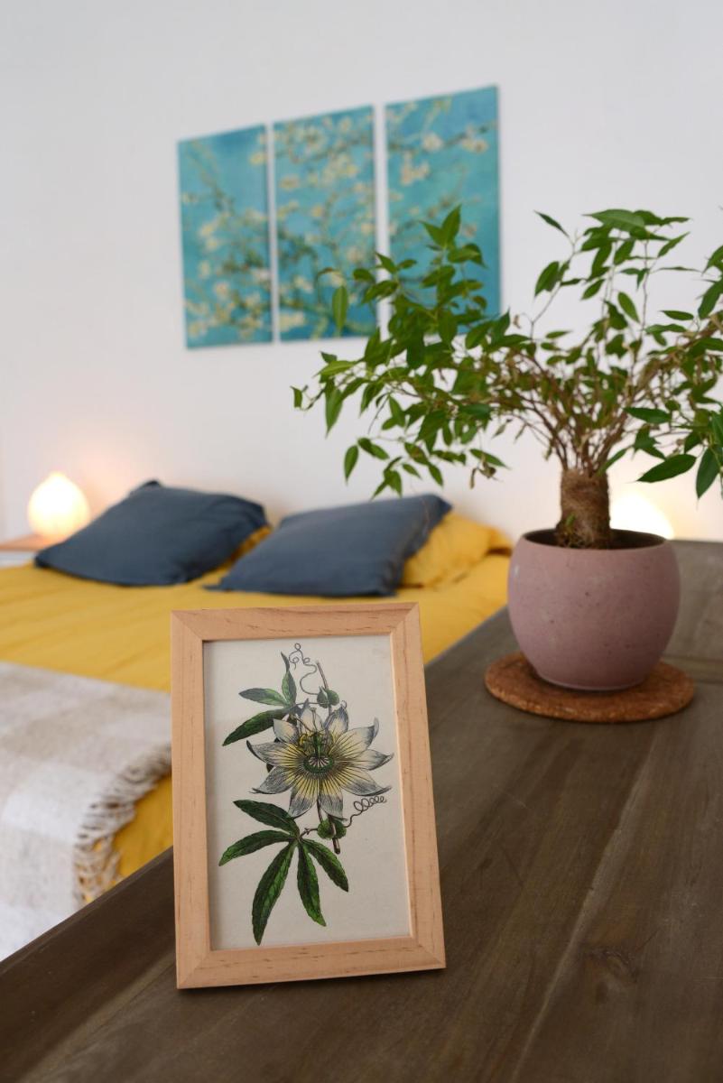 Le pied-à-terre du botaniste - Housity