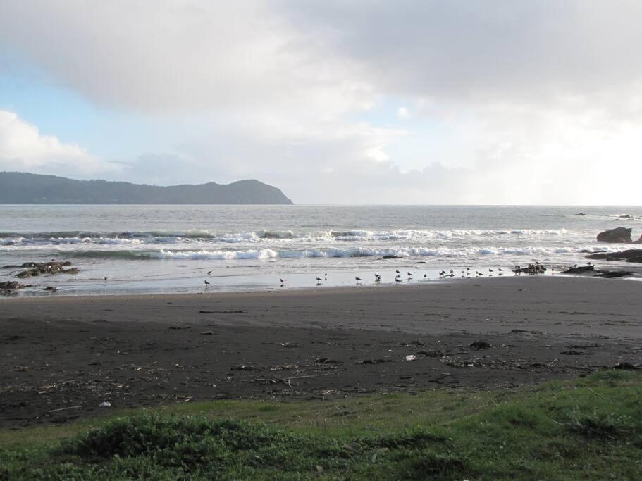 Cabaña a metros de la playa San Ignacio, Niebla - Housity