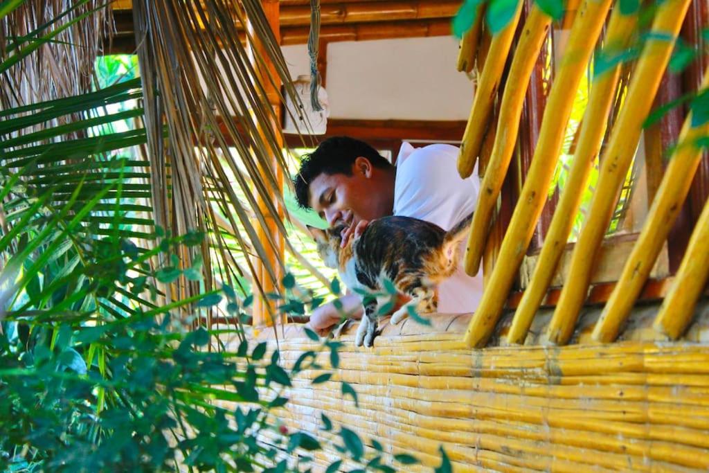 Ecolodge Cactos - Tu Oasis Natural en el Norte de Perú - Housity