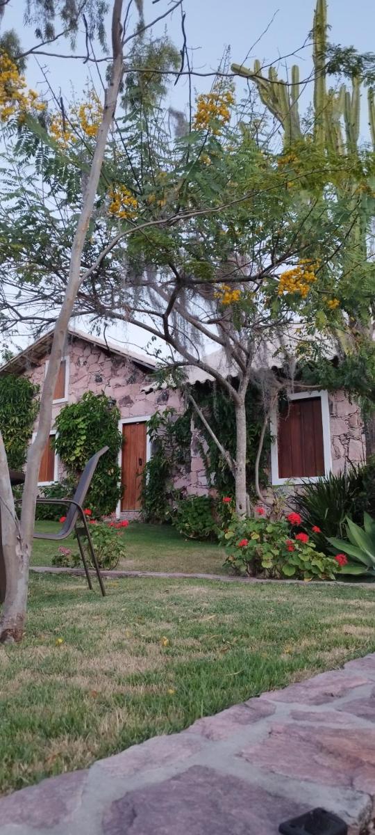 Oforasteiro - Housity