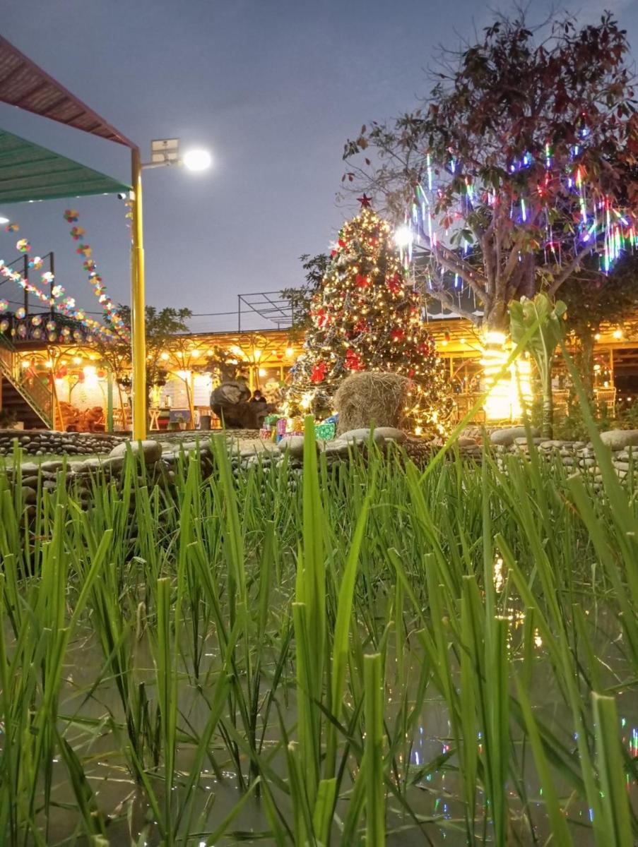 Việt Kiều Royal - Housity