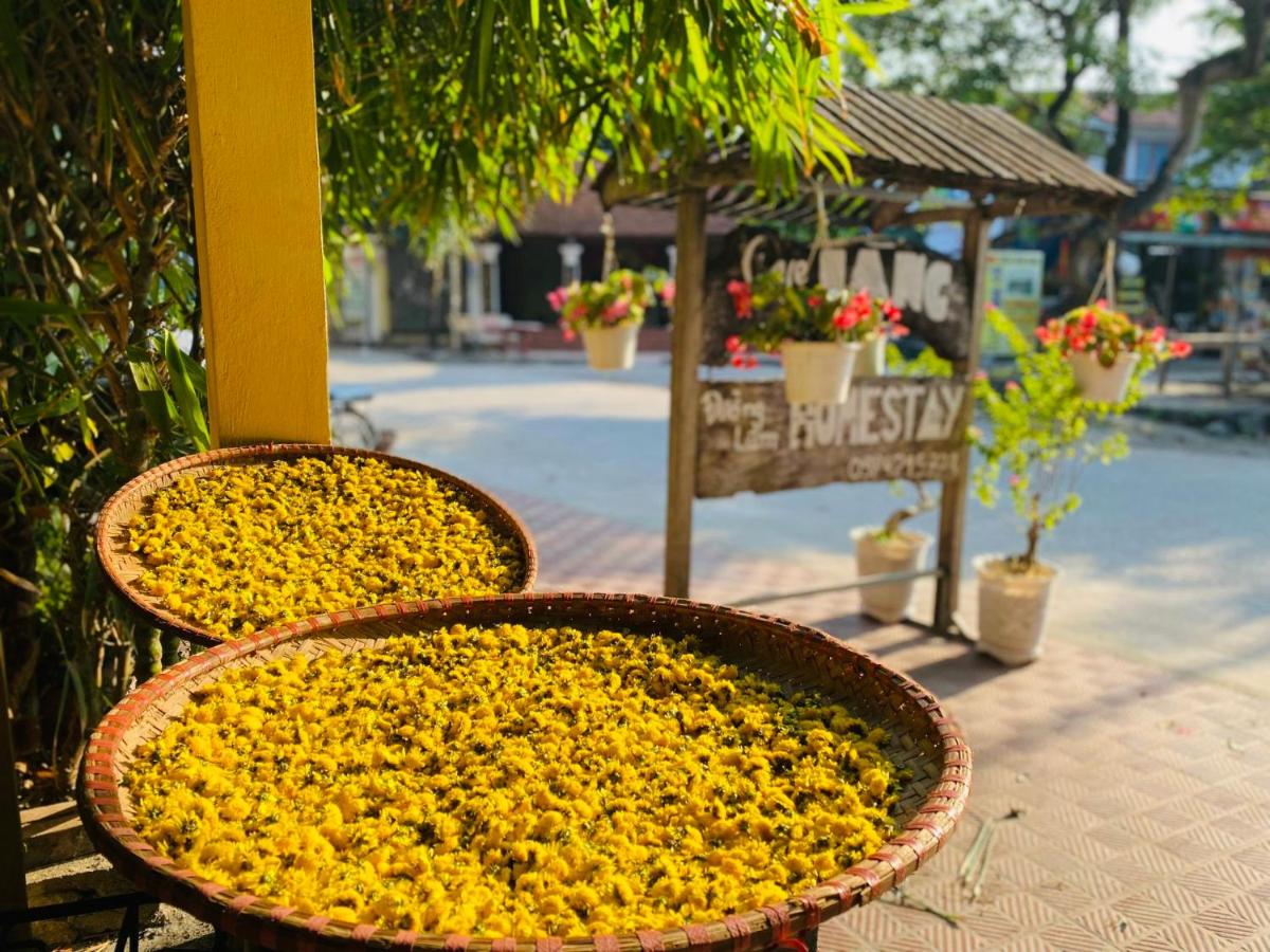 Elephant's House - Đường Lâm Homestay - Housity