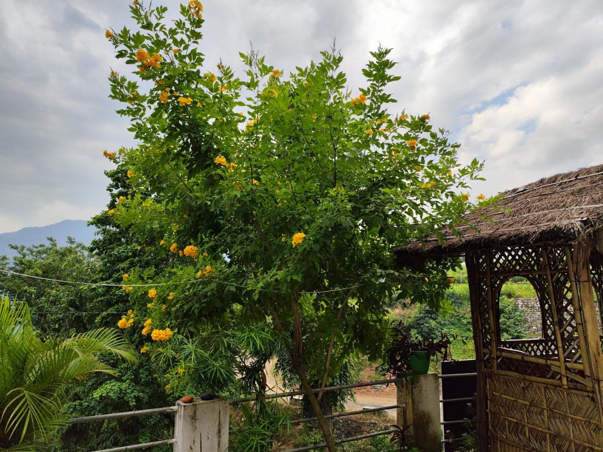 Nature Villa - Housity