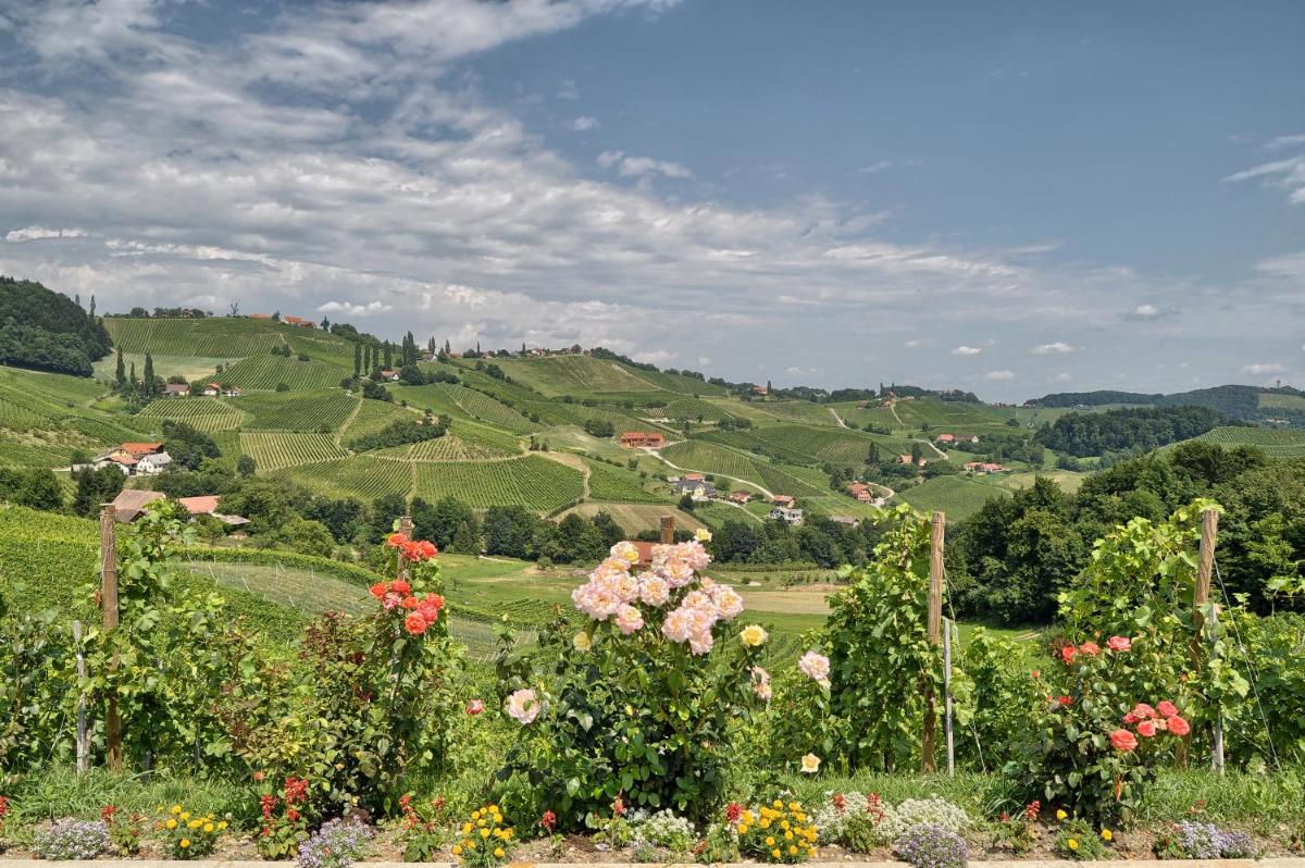 Suitetrails - Farm Stay Jarc Vineyard