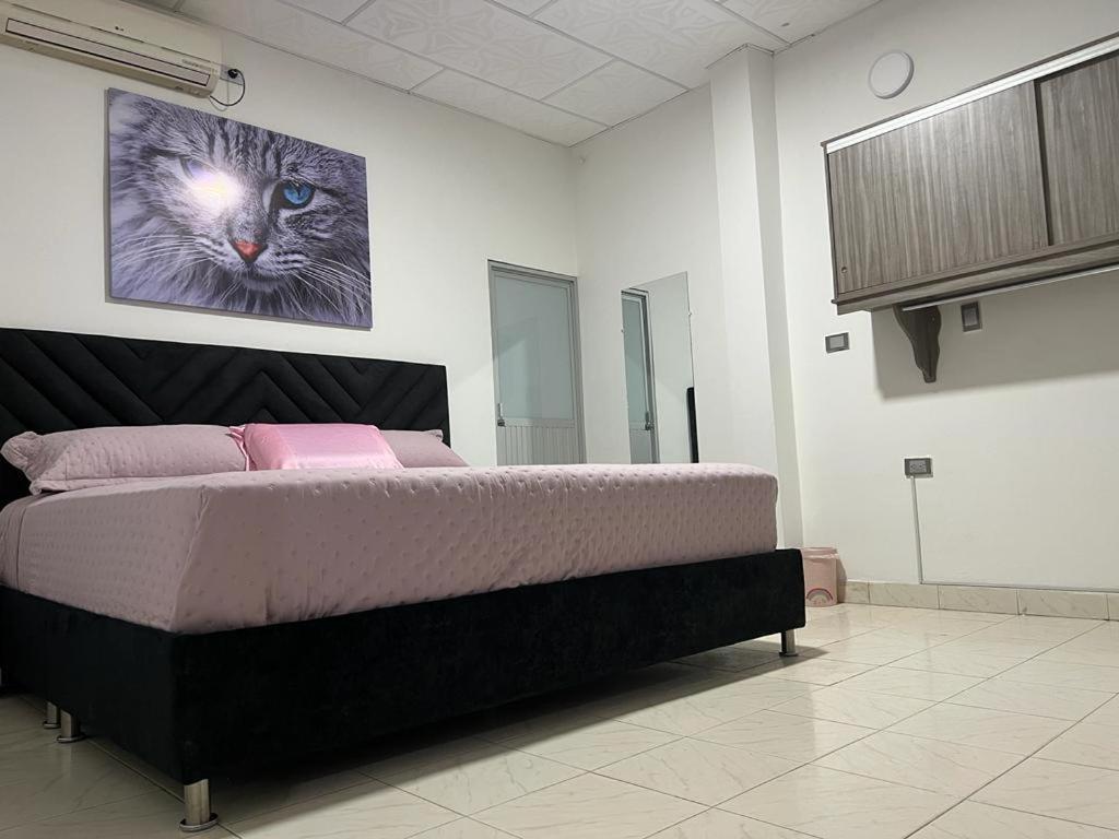 COOL HOUSE 24Horas - Housity