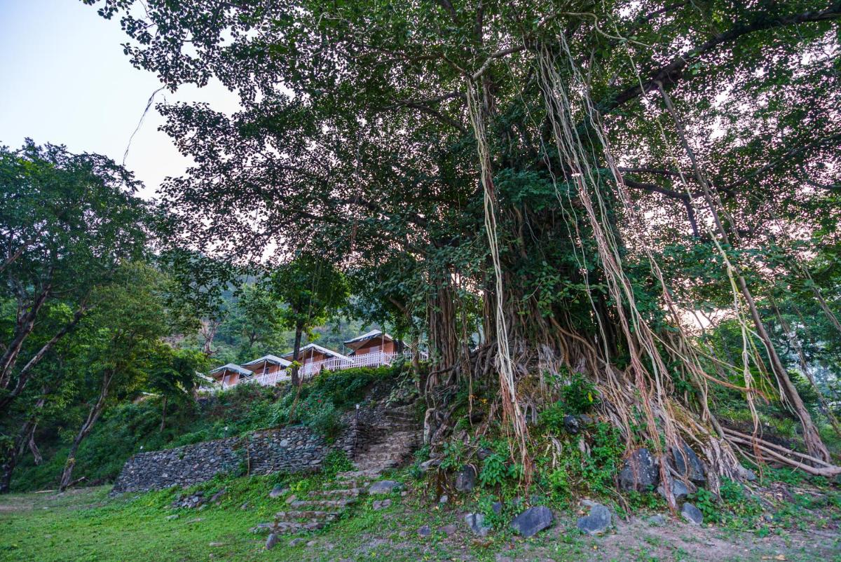Banyan By The Ganges - Housity