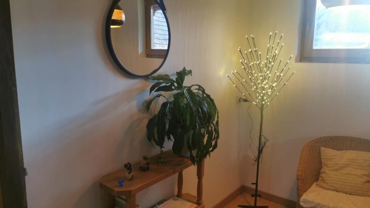 House for rest and fun JEKA - Housity